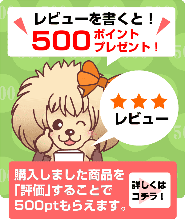 レビューを書くと！500ポイントプレゼント！